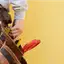 Handyman repair service in Marietta, GA for home fixes and improvements